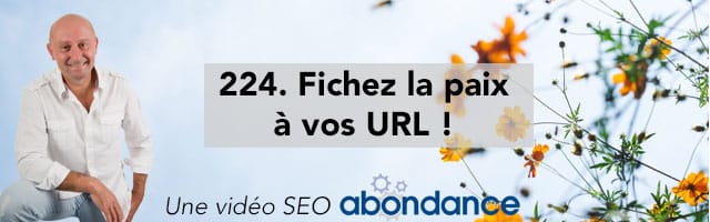 Fichez la paix à vos URL ! –  Vidéo SEO Abondance N°224