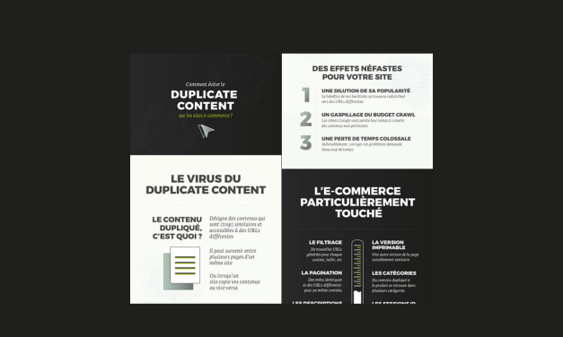 Infographie : Comment éviter le Contenu Dupliqué sur les sites e-Commerce ?