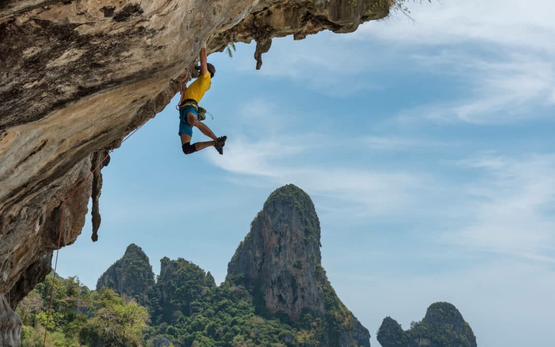 5 changements dans la documentation sur les chutes de positionnement sur Google