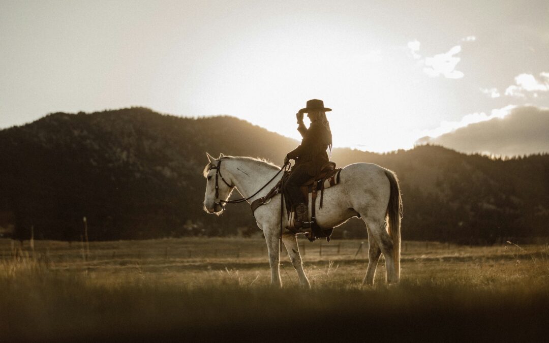 Ranch-Style SEO : une stratégie de contenu à l’épreuve du temps