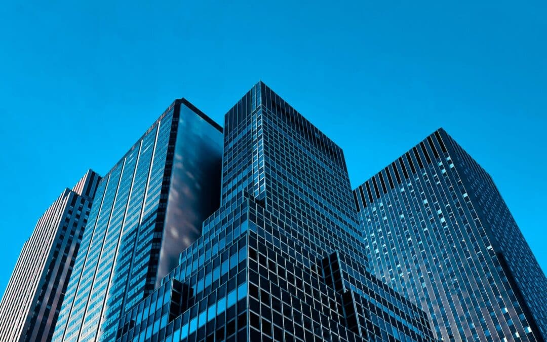 Microdonnée Organization : Siret, TVA, optimisez les données de votre entreprise
