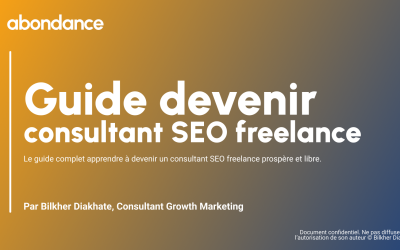 Guide Devenir Consultant SEO Freelance
