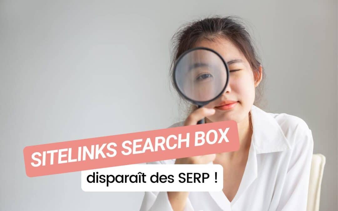 Sitelinks Search Box : Google efface la fonctionnalité en novembre !