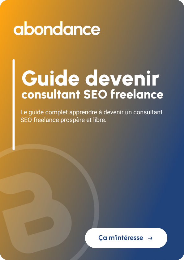 Guide pour devenir consultant SEO freelance par Bilkher DIAKHATE