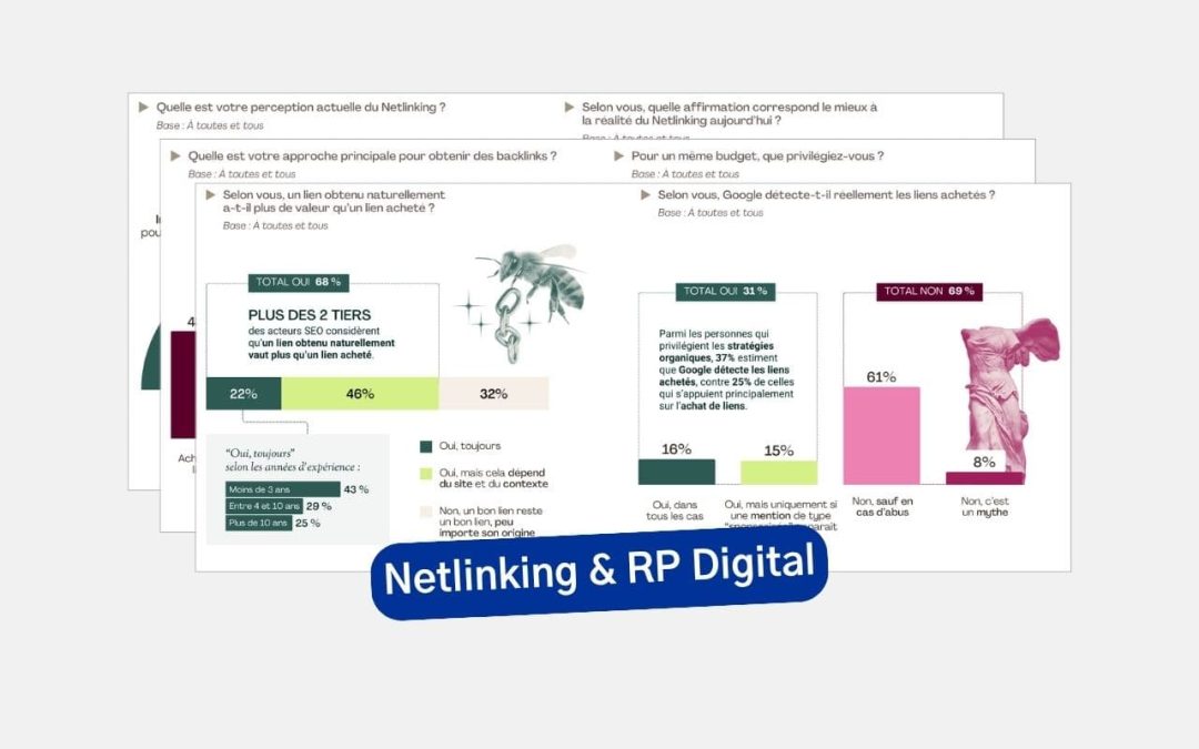 Netlinking et RP digitale : les professionnels du SEO livrent leur vision 2025