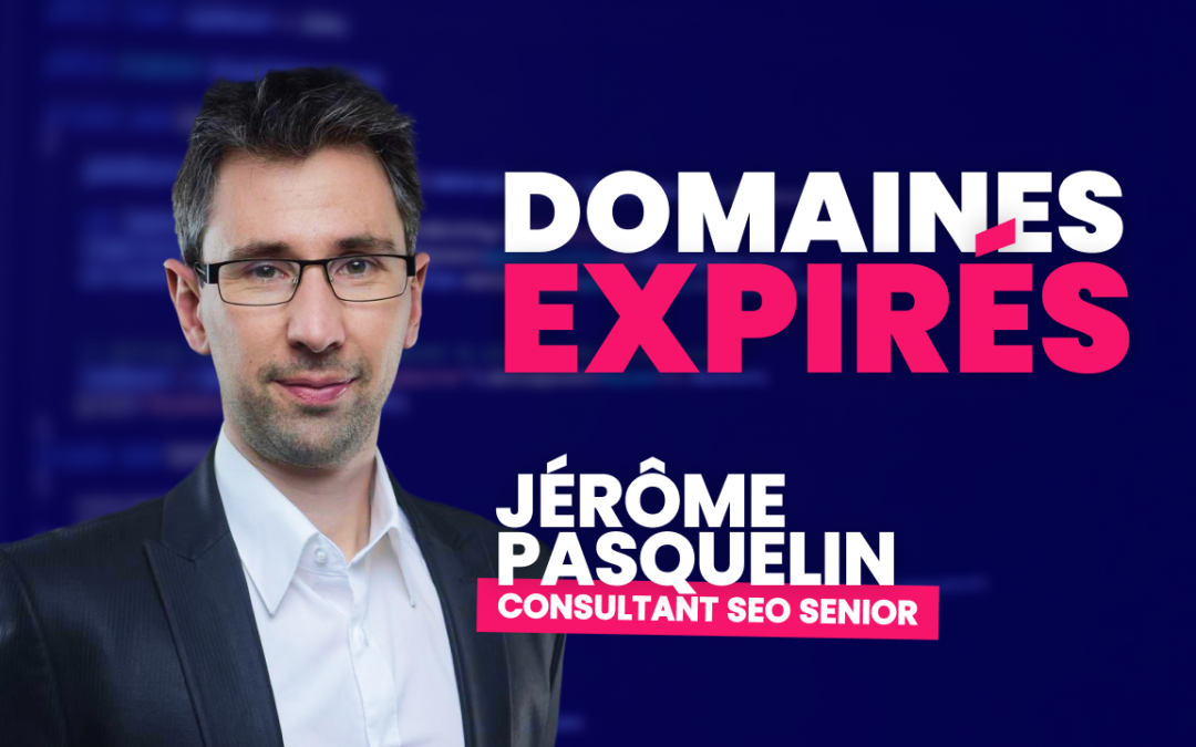 Nouvelle formation SEO : Boostez votre visibilité (et vos revenus) grâce aux NDD expirés