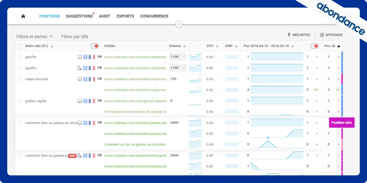 Visuel de la fonctionnalité des rapports personnalisables sur Monitorank