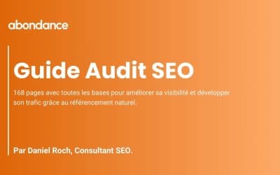 Guide Audit SEO