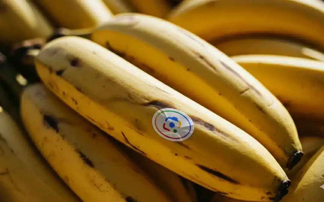 L’IA Nano Banana débarque dans Google Search, Lens, NotebookLM et bientôt Photo