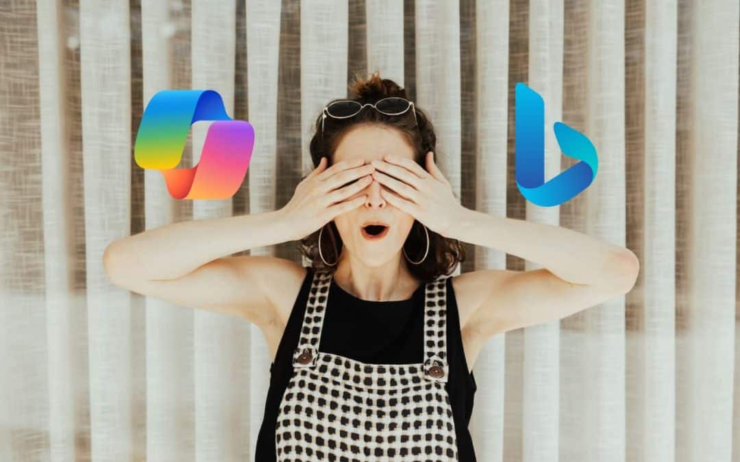 Bing veut vous aide à mieux maîtriser votre visibilité avec l’attribut data-nosnippet