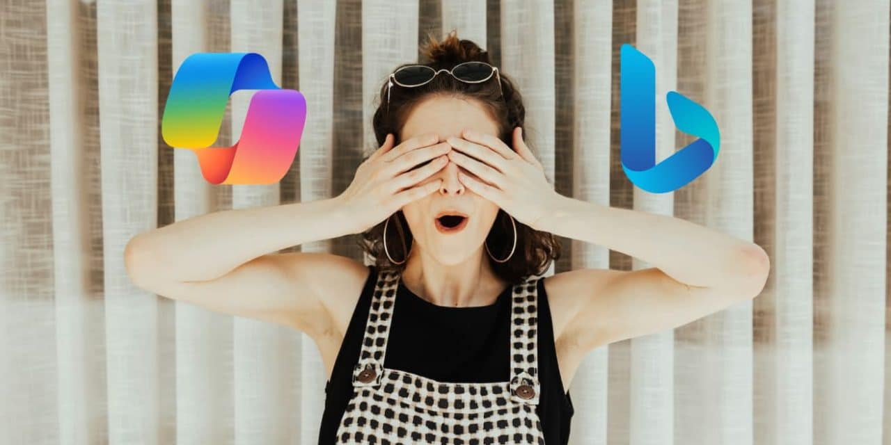 Bing veut vous aider à mieux maîtriser votre visibilité avec l’attribut data-nosnippet