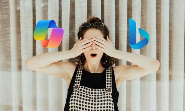 Bing veut vous aider à mieux maîtriser votre visibilité avec l’attribut data-nosnippet