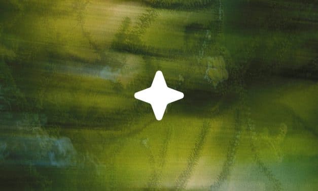 Le moteur Ecosia prend un virage IA (qui respecte la vie privée et la planète)