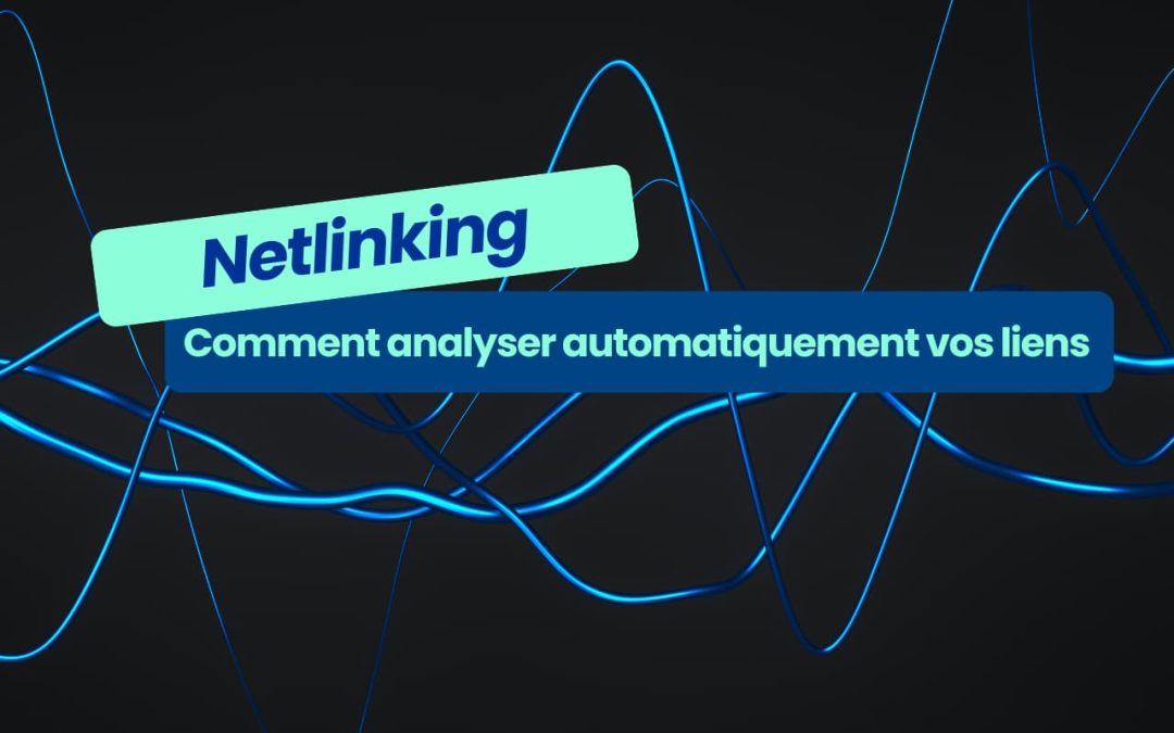 Netlinking : comment analyser automatiquement tous les catalogues à partir de vos requêtes cibles