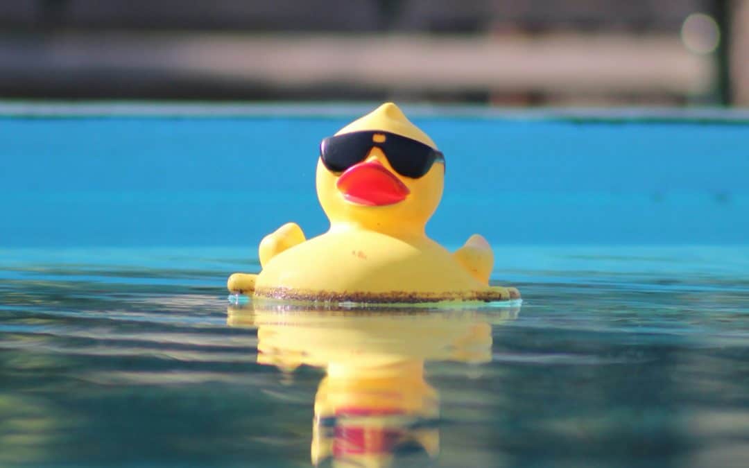 DuckDuckGo profite de la stratégie IA de Google pour séduire les utilisateurs américains