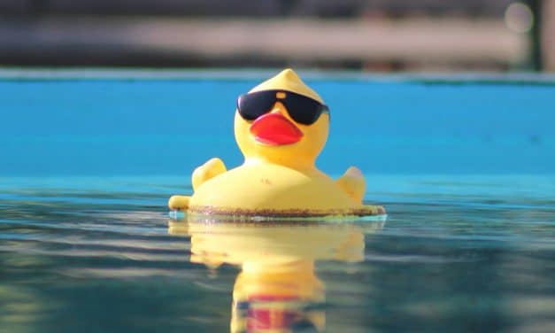 DuckDuckGo profite de la stratégie IA de Google pour séduire les utilisateurs américains
