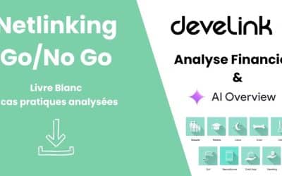 Guide Netlinking : analyse concurrentielle et financière