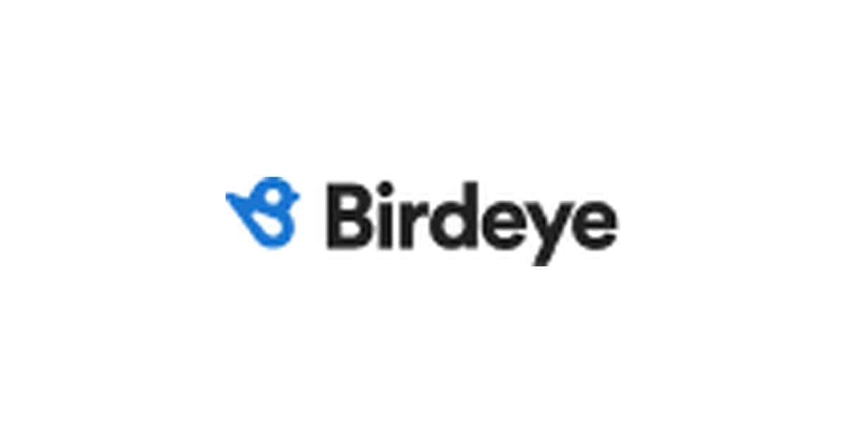 Logo de Birdeye