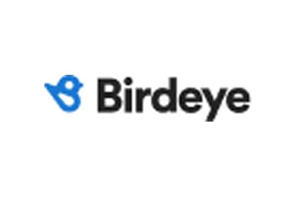 Logo de Birdeye