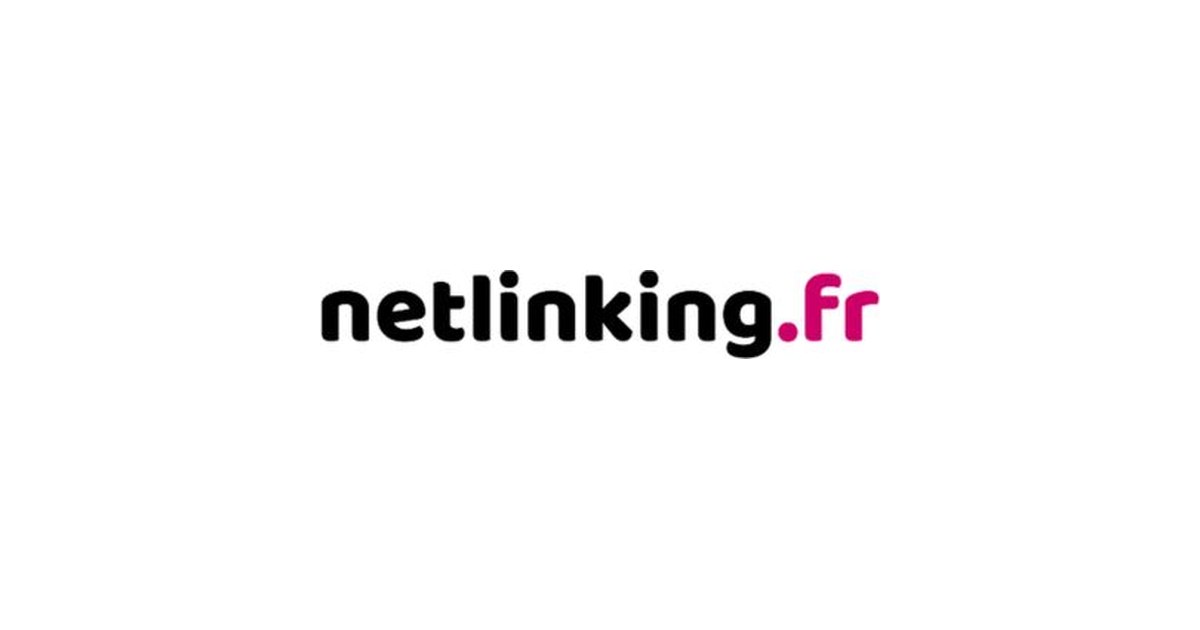 Logo de Netlinking.fr